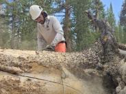 Yost Trail Log Out 2024